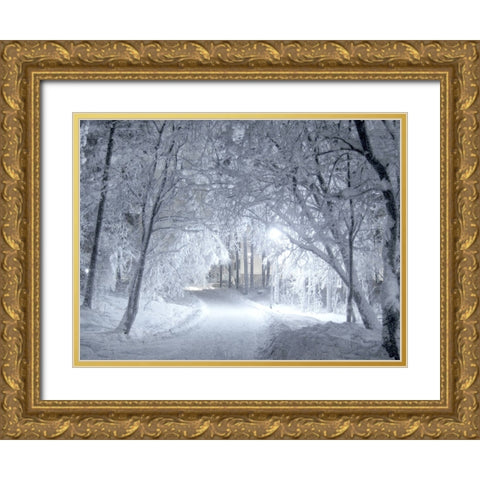 Winter Path Gold Ornate Wood Framed Art Print with Double Matting by Allen, Kimberly