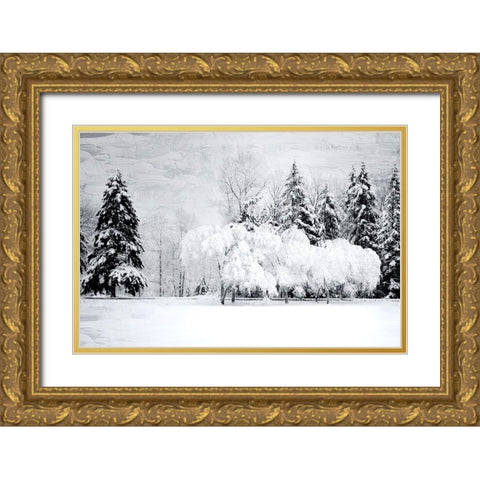 Winter Snow Gold Ornate Wood Framed Art Print with Double Matting by Allen, Kimberly