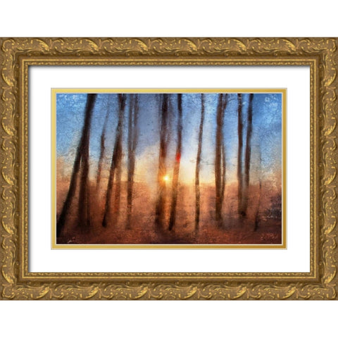 Sunset Gold Ornate Wood Framed Art Print with Double Matting by Allen, Kimberly