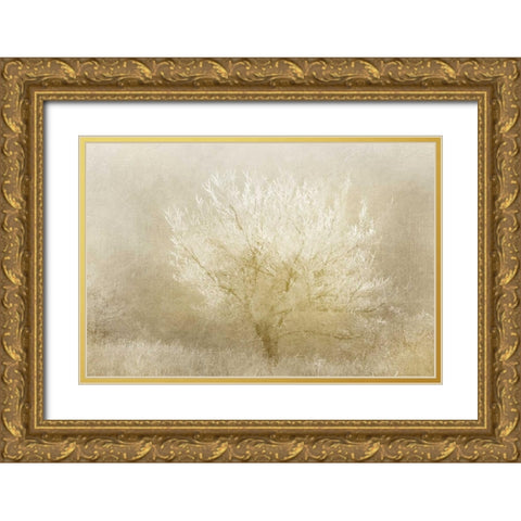 Dreaming Tree Gold Ornate Wood Framed Art Print with Double Matting by Allen, Kimberly