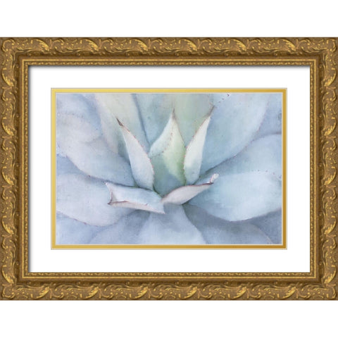 Serene Succulent Gold Ornate Wood Framed Art Print with Double Matting by Allen, Kimberly