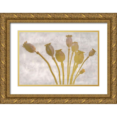 Poppy Buds Gold Ornate Wood Framed Art Print with Double Matting by Kimberly, Allen