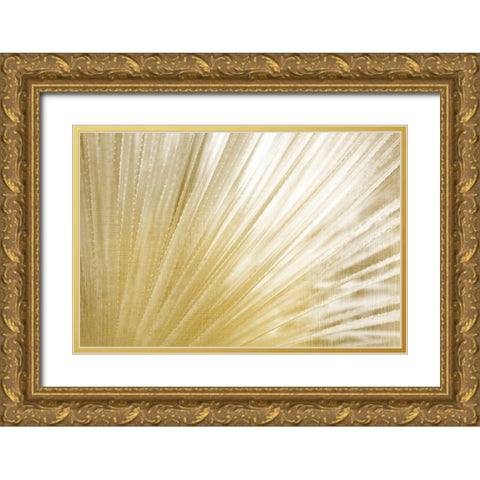 Golden Succulent Gold Ornate Wood Framed Art Print with Double Matting by Kimberly, Allen