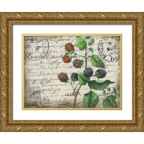 Vintage Blackberries Gold Ornate Wood Framed Art Print with Double Matting by Kimberly, Allen
