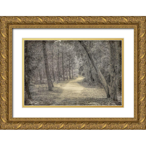 Forest of Dreams Gold Ornate Wood Framed Art Print with Double Matting by Kimberly, Allen