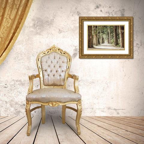Along the Path Gold Ornate Wood Framed Art Print with Double Matting by Kimberly, Allen