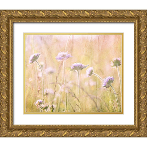 Hazy Afternoon Sun 1 Gold Ornate Wood Framed Art Print with Double Matting by Kimberly, Allen
