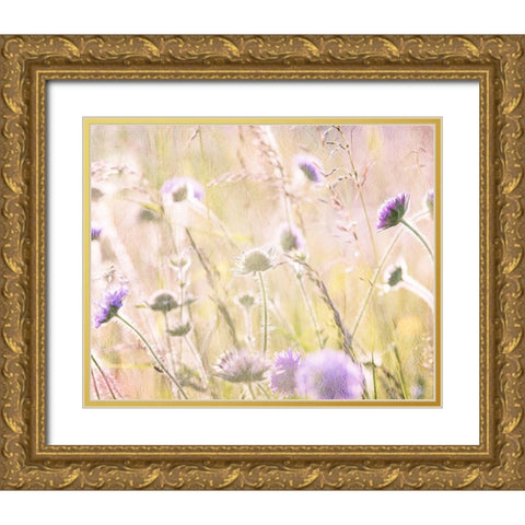 Hazy Afternoon Sun 2 Gold Ornate Wood Framed Art Print with Double Matting by Kimberly, Allen