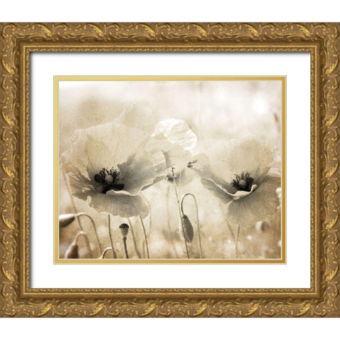 Vintage Poppy 1 Gold Ornate Wood Framed Art Print with Double Matting by Kimberly, Allen