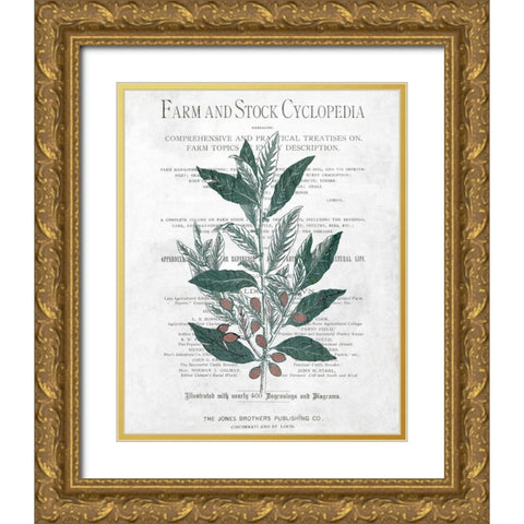 Botanical 1 Gold Ornate Wood Framed Art Print with Double Matting by Kimberly, Allen