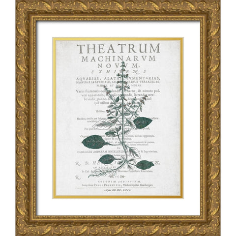 Botanical 2 Gold Ornate Wood Framed Art Print with Double Matting by Kimberly, Allen