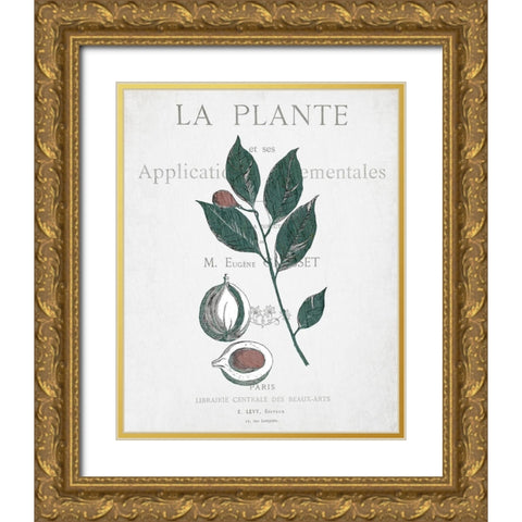 Botanical 3 Gold Ornate Wood Framed Art Print with Double Matting by Kimberly, Allen