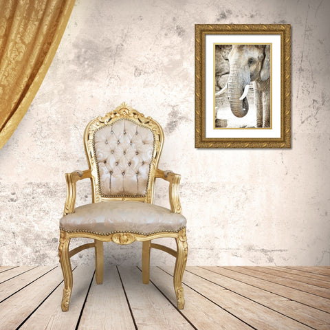 Ageless Gold Ornate Wood Framed Art Print with Double Matting by Kimberly, Allen