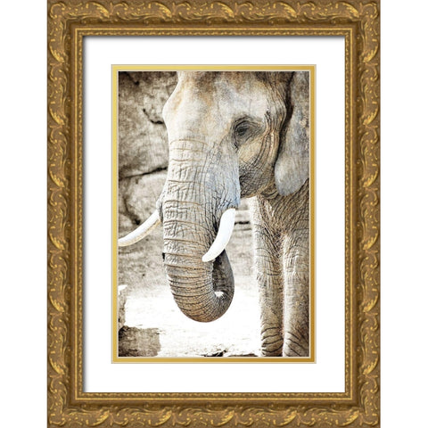 Ageless Gold Ornate Wood Framed Art Print with Double Matting by Kimberly, Allen