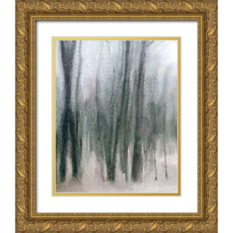 Shrouded Forest 2 Gold Ornate Wood Framed Art Print with Double Matting by Allen, Kimberly