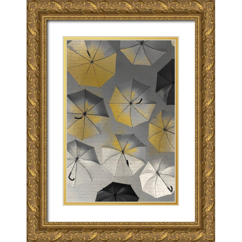 Falling from the Sky Gold Ornate Wood Framed Art Print with Double Matting by Kimberly, Allen