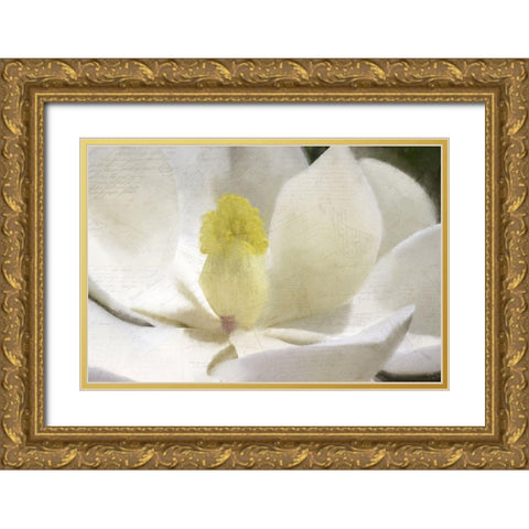 Carte Postale Magnolia Bloom Gold Ornate Wood Framed Art Print with Double Matting by Kimberly, Allen