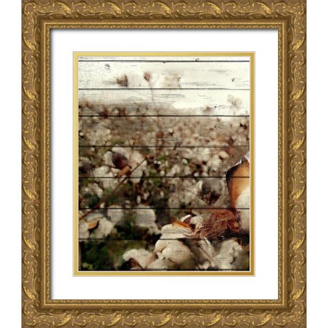 Cotton Field 2 Gold Ornate Wood Framed Art Print with Double Matting by Kimberly, Allen