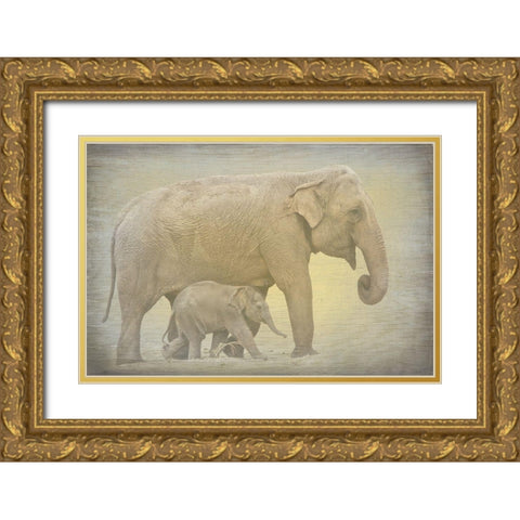 Side by Side Gold Ornate Wood Framed Art Print with Double Matting by Kimberly, Allen