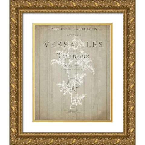 No 3 Floral Page Gold Ornate Wood Framed Art Print with Double Matting by Allen, Kimberly