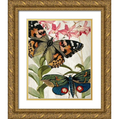 Butterfly World 1 Gold Ornate Wood Framed Art Print with Double Matting by Kimberly, Allen