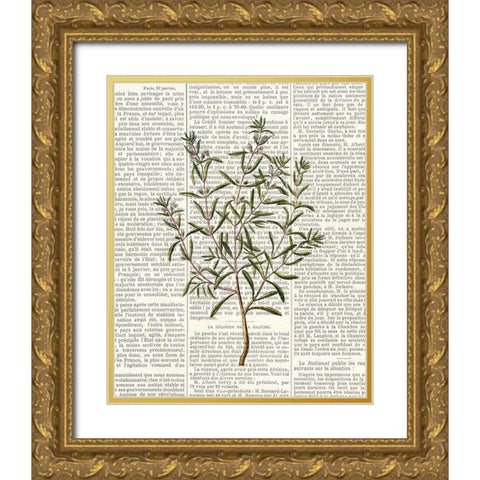 Fresh Herbs 2 Gold Ornate Wood Framed Art Print with Double Matting by Allen, Kimberly