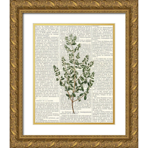 Fresh Herbs 3 Gold Ornate Wood Framed Art Print with Double Matting by Allen, Kimberly