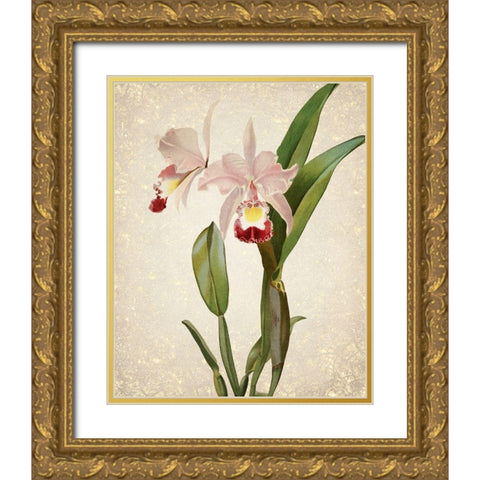 Orchids  2 Gold Ornate Wood Framed Art Print with Double Matting by Kimberly, Allen