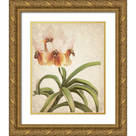 Orchids 3 Gold Ornate Wood Framed Art Print with Double Matting by Kimberly, Allen