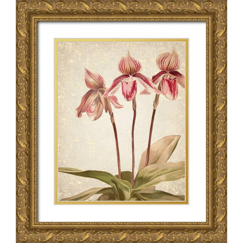 Orchids 4 Gold Ornate Wood Framed Art Print with Double Matting by Kimberly, Allen