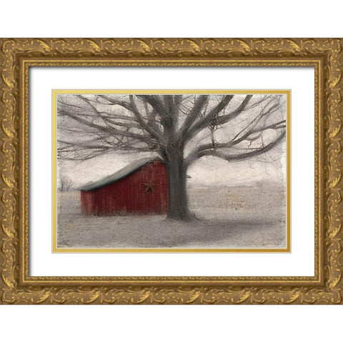 Barnyard Star Gold Ornate Wood Framed Art Print with Double Matting by Allen, Kimberly