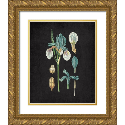 Blue Iris 2 Gold Ornate Wood Framed Art Print with Double Matting by Kimberly, Allen