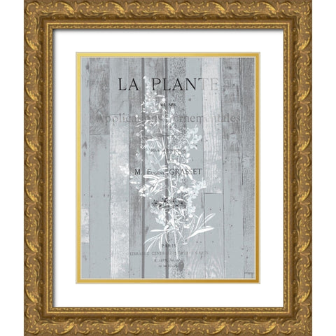 La Plante 1 Gold Ornate Wood Framed Art Print with Double Matting by Kimberly, Allen