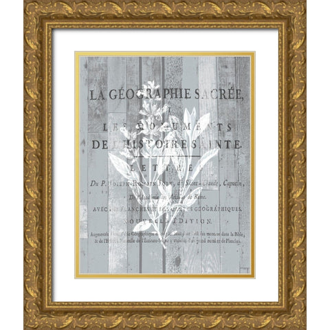 La Plante 2 Gold Ornate Wood Framed Art Print with Double Matting by Kimberly, Allen