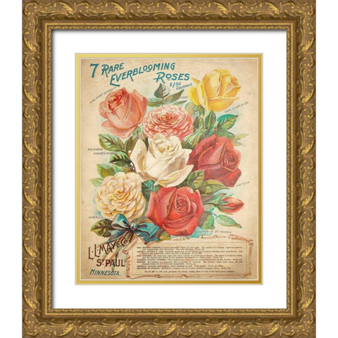 Everblooming Roses Gold Ornate Wood Framed Art Print with Double Matting by Kimberly, Allen