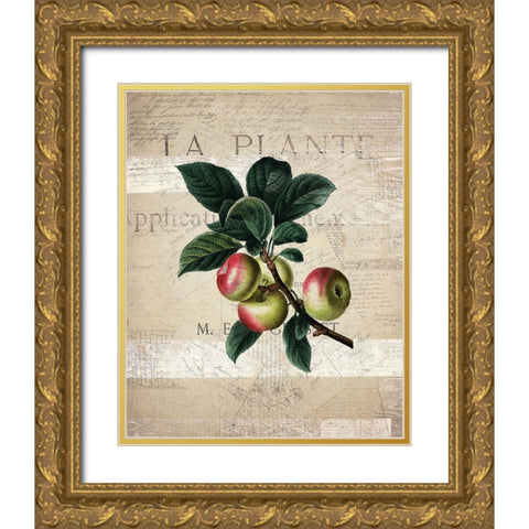 Fruit 1 Gold Ornate Wood Framed Art Print with Double Matting by Kimberly, Allen