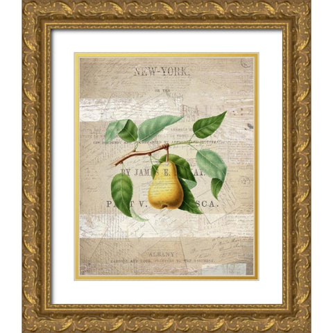 Fruit 2 Gold Ornate Wood Framed Art Print with Double Matting by Kimberly, Allen