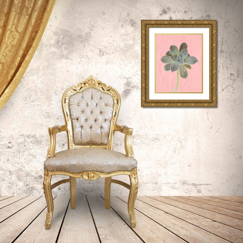 On Pink B Gold Ornate Wood Framed Art Print with Double Matting by Kimberly, Allen