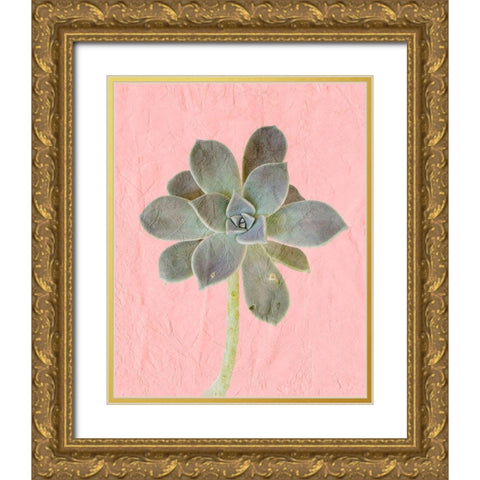 On Pink B Gold Ornate Wood Framed Art Print with Double Matting by Kimberly, Allen