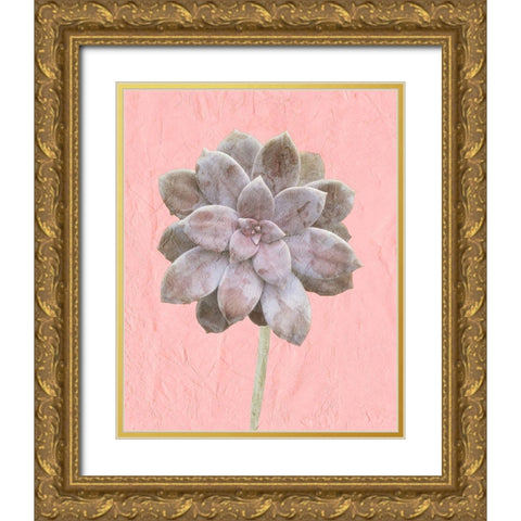 On Pink C Gold Ornate Wood Framed Art Print with Double Matting by Kimberly, Allen