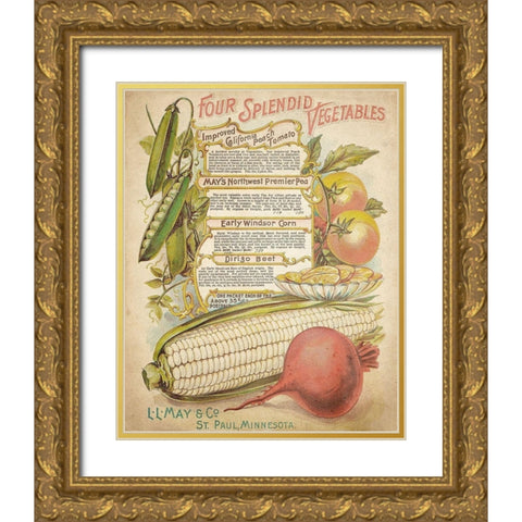 Splendid Vegetables Gold Ornate Wood Framed Art Print with Double Matting by Kimberly, Allen