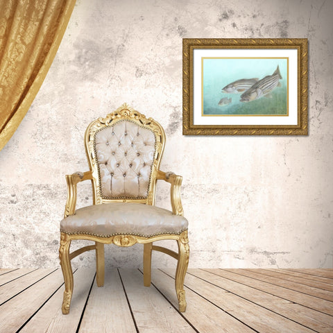Fish Family Gold Ornate Wood Framed Art Print with Double Matting by Kimberly, Allen