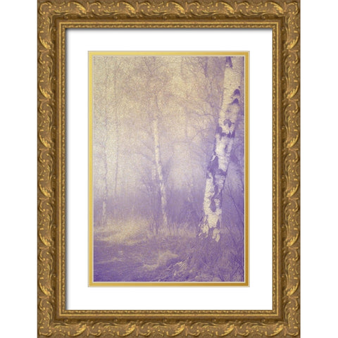 Mystic Forest Gold Ornate Wood Framed Art Print with Double Matting by Kimberly, Allen