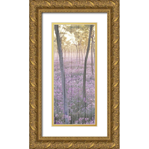 Sunset through the Trees 1 Gold Ornate Wood Framed Art Print with Double Matting by Kimberly, Allen