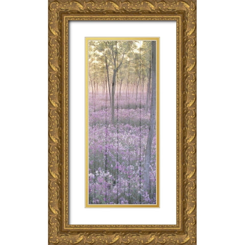 Sunset through the Trees 2 Gold Ornate Wood Framed Art Print with Double Matting by Kimberly, Allen