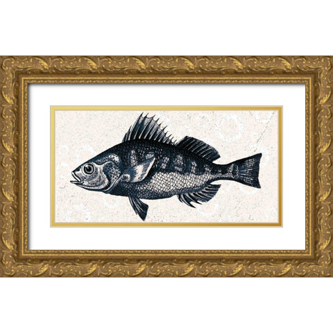 Sea Life 1 Gold Ornate Wood Framed Art Print with Double Matting by Kimberly, Allen