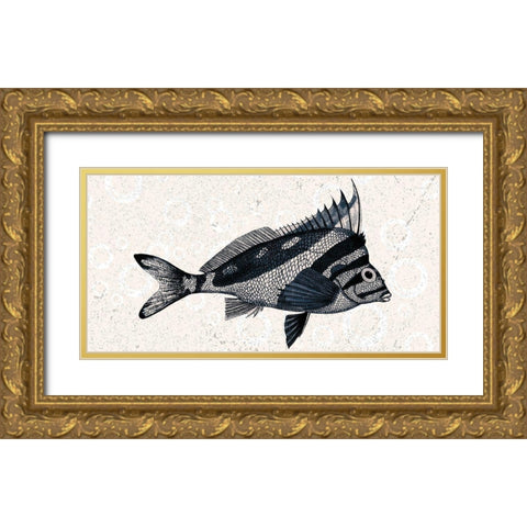 Sea Life 2 Gold Ornate Wood Framed Art Print with Double Matting by Kimberly, Allen