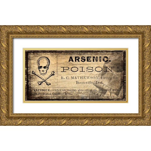 Arsenic v1 Gold Ornate Wood Framed Art Print with Double Matting by Kimberly, Allen