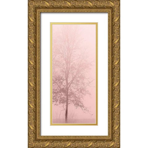 Pink Dawn 2 Gold Ornate Wood Framed Art Print with Double Matting by Kimberly, Allen