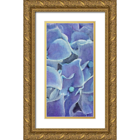 Hydrangea Panel 2 Gold Ornate Wood Framed Art Print with Double Matting by Kimberly, Allen